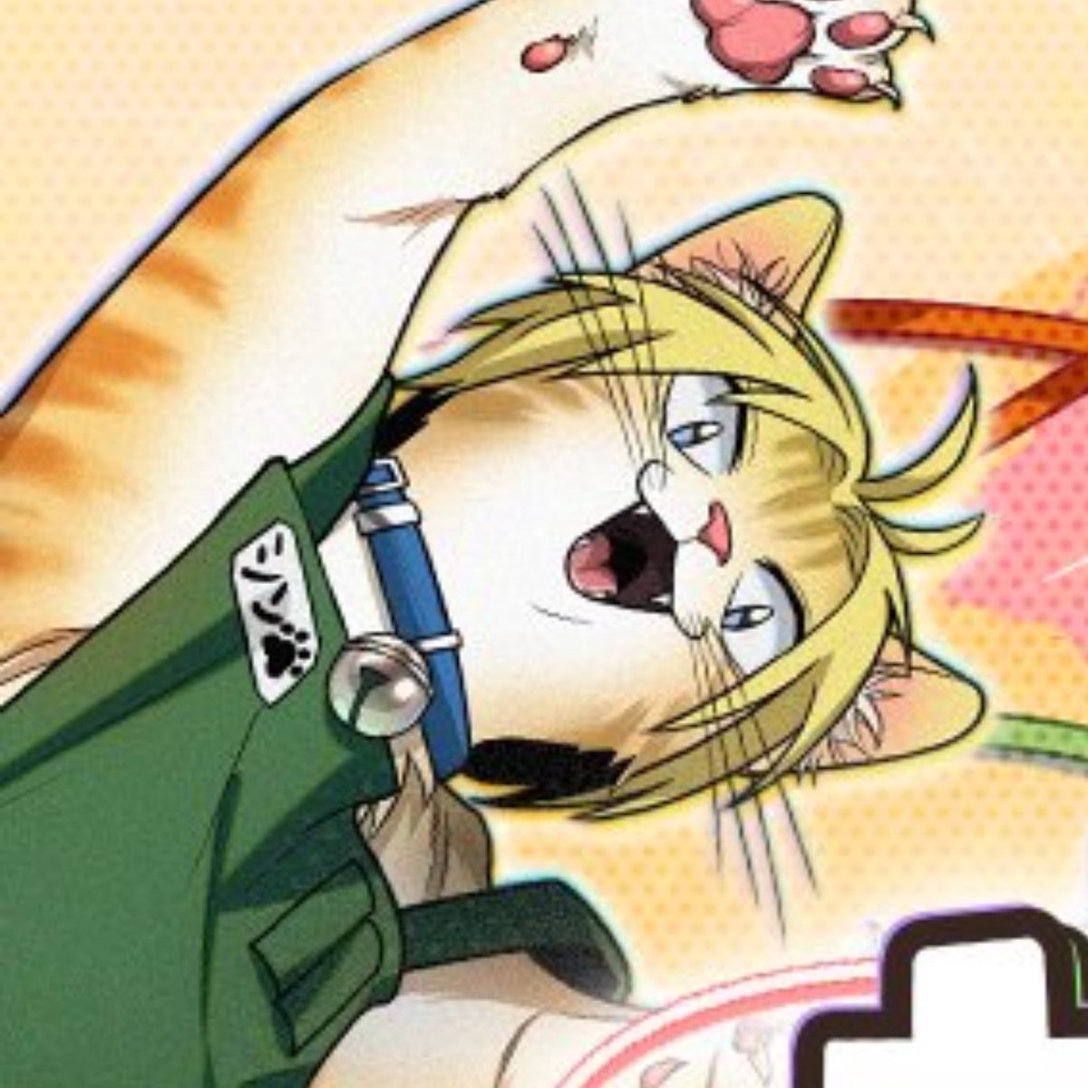 아 ㅋㅋ 돼냥이랑 신냥이 너무 귀엽잖아