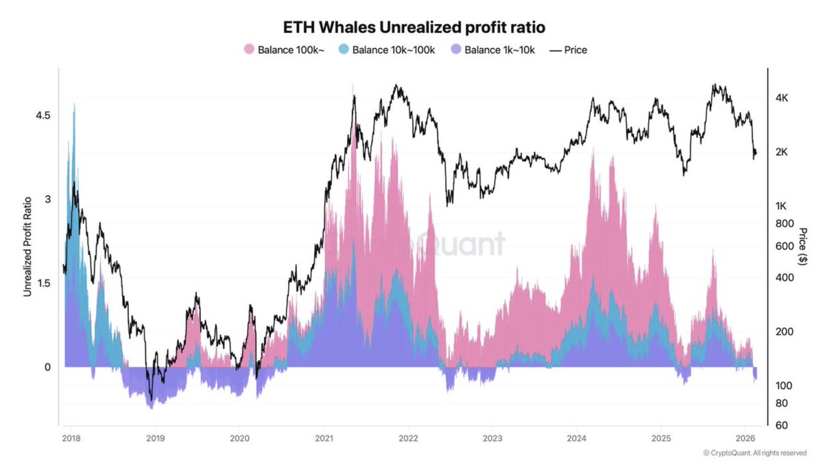 🚨ALL ETH WHALE COHORTS ARE NOW UNDERWATER

For the first time this cycle, every major Ethereum holder group, even more than 100K ETH wallets is sitting on unrealized losses.

When strong hands feel pain, weak hands are already gone.