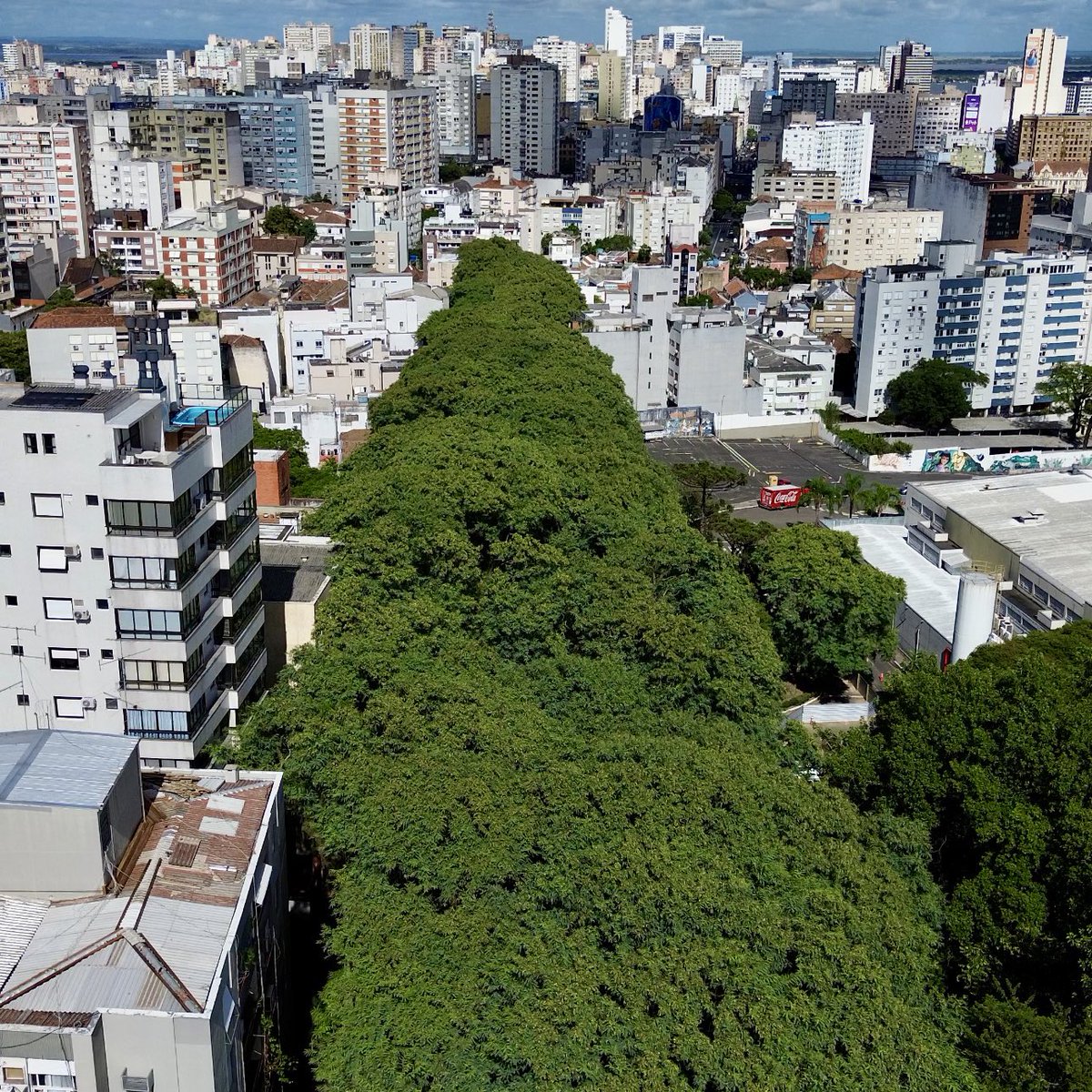 O Corredor Verde mais famoso de Porto Alegre corre perigo. ⚠️ 

Um megaempreendimento imobiliário coloca em risco a Rua Gonçalo de Carvalho, o planejamento urbano e a preservação ambiental da capital. 

Vem comigo que eu conto essa história 👇🏾
