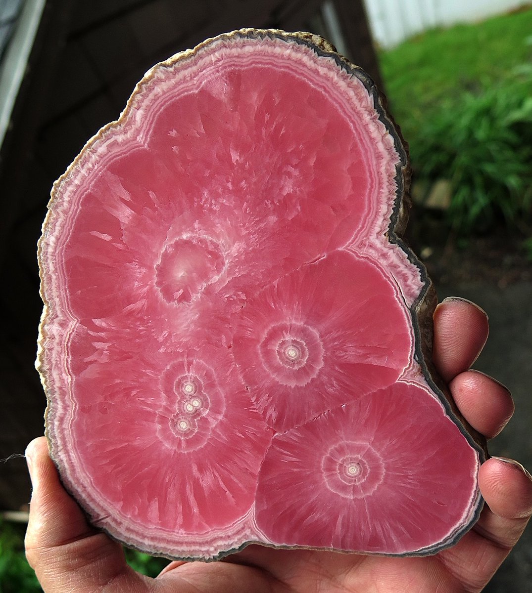 Few rhodochrosite (MnCO₃) slices rival the quality of this specimen from the Capillitas Mine, Andalgalá, Catamarca, Argentina.

Photo: GoldenHourMinerals