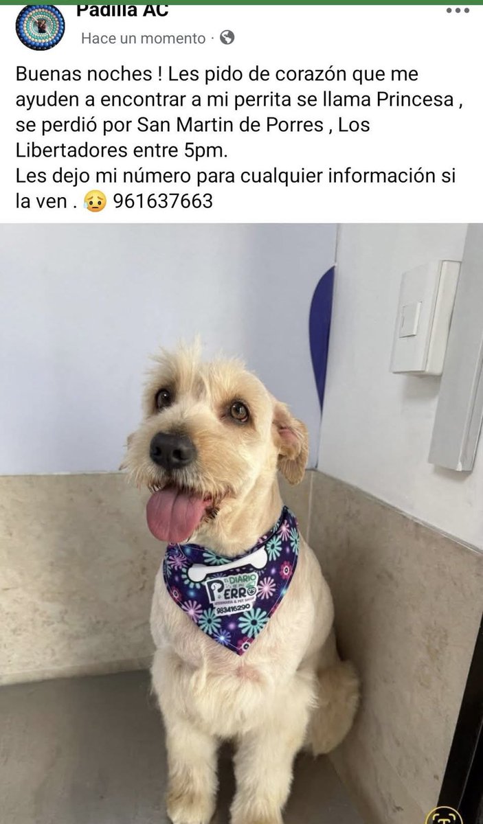 BCUORE 💚 tweet media