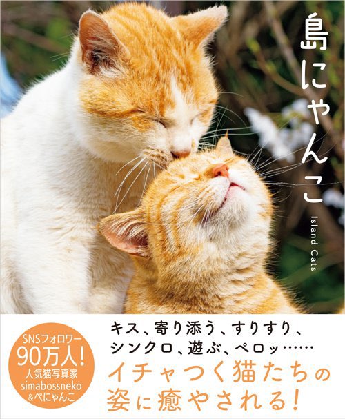 猫の日 SPの #サクサクヒムヒム 番組に登場した猫写真集はこちら