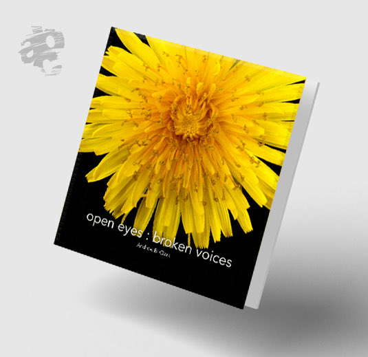 Andrew B. Clark tweet media