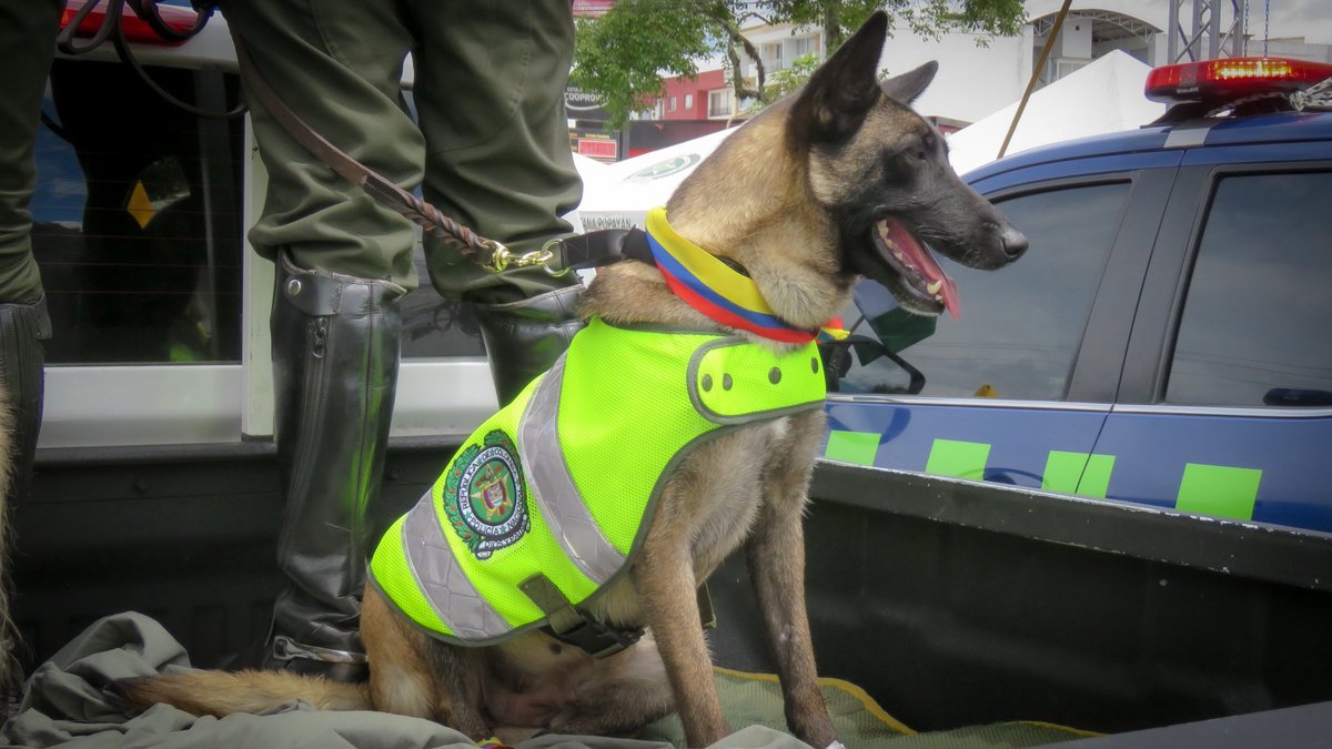 S2D | Más que compañeros, son héroes, valientes, entregados ...