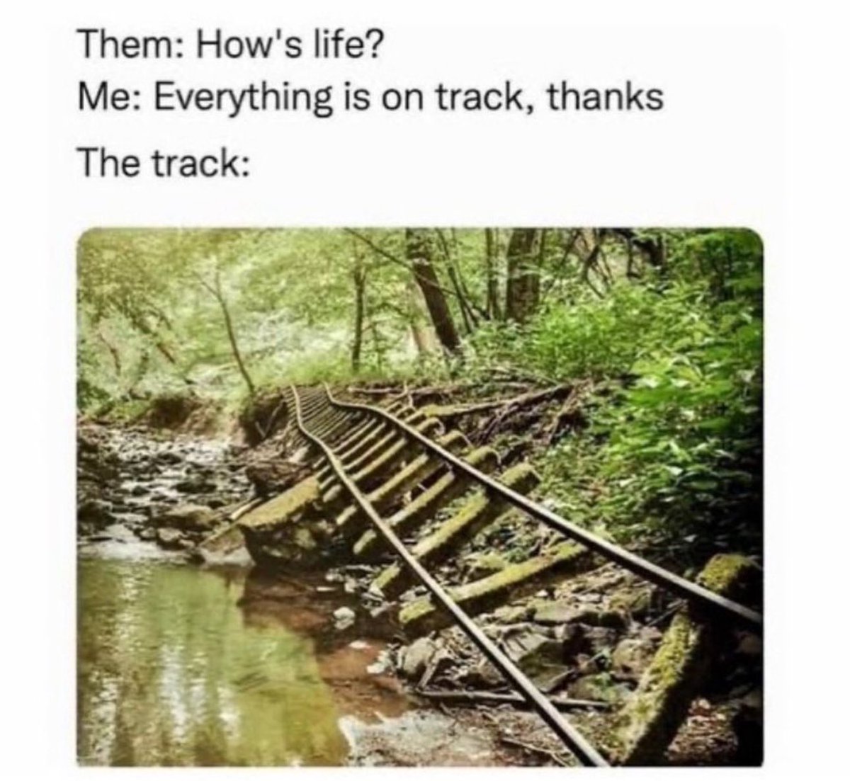 Out of Context Human Race tweet media