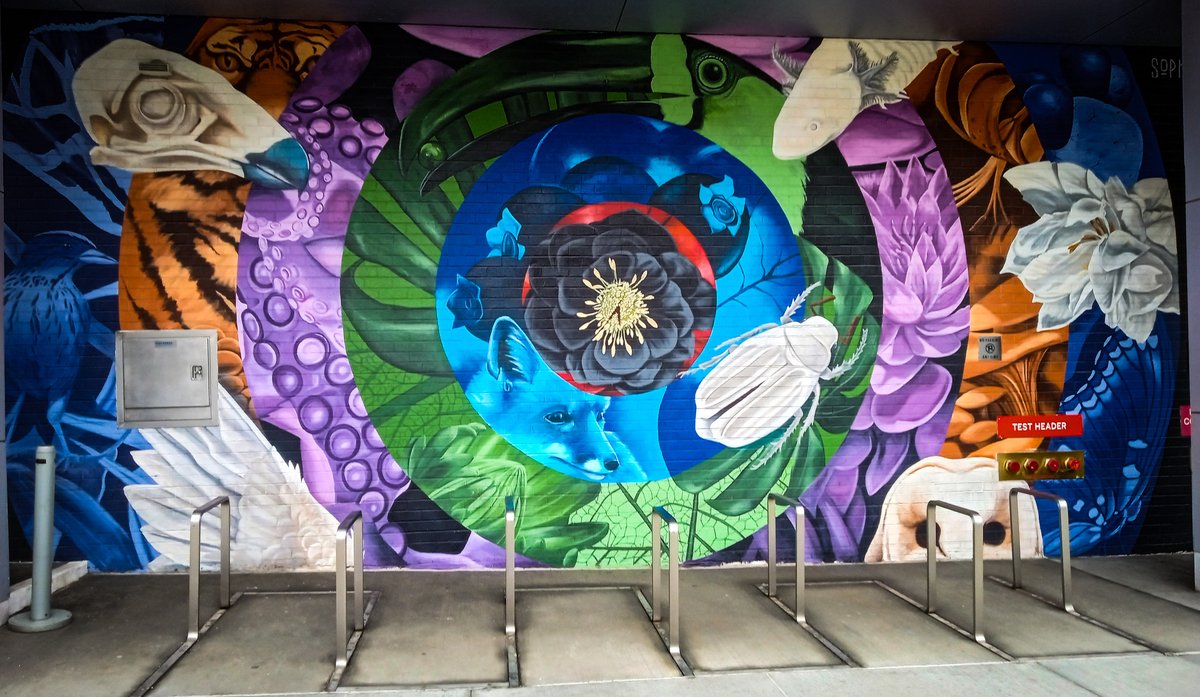 paulsportrait's tweet image. #Mural in #KendalSquare #CambMA