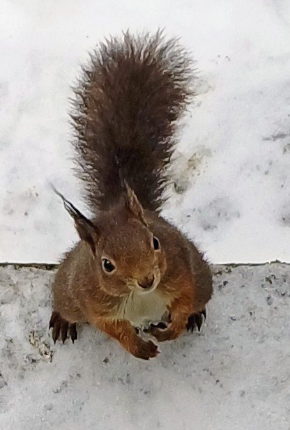 Joanna Vadenbring tweet media