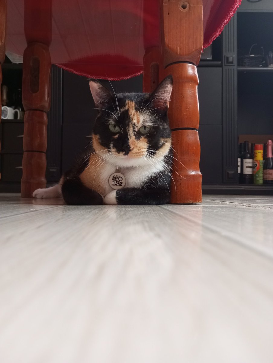 V1N1Cous's tweet photo. Nunca vi mais fotogênica https://t.co/Hyslh80Ibh