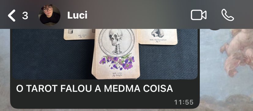 os dois baralhos do luci me dando um fecho 🕊️ mortA