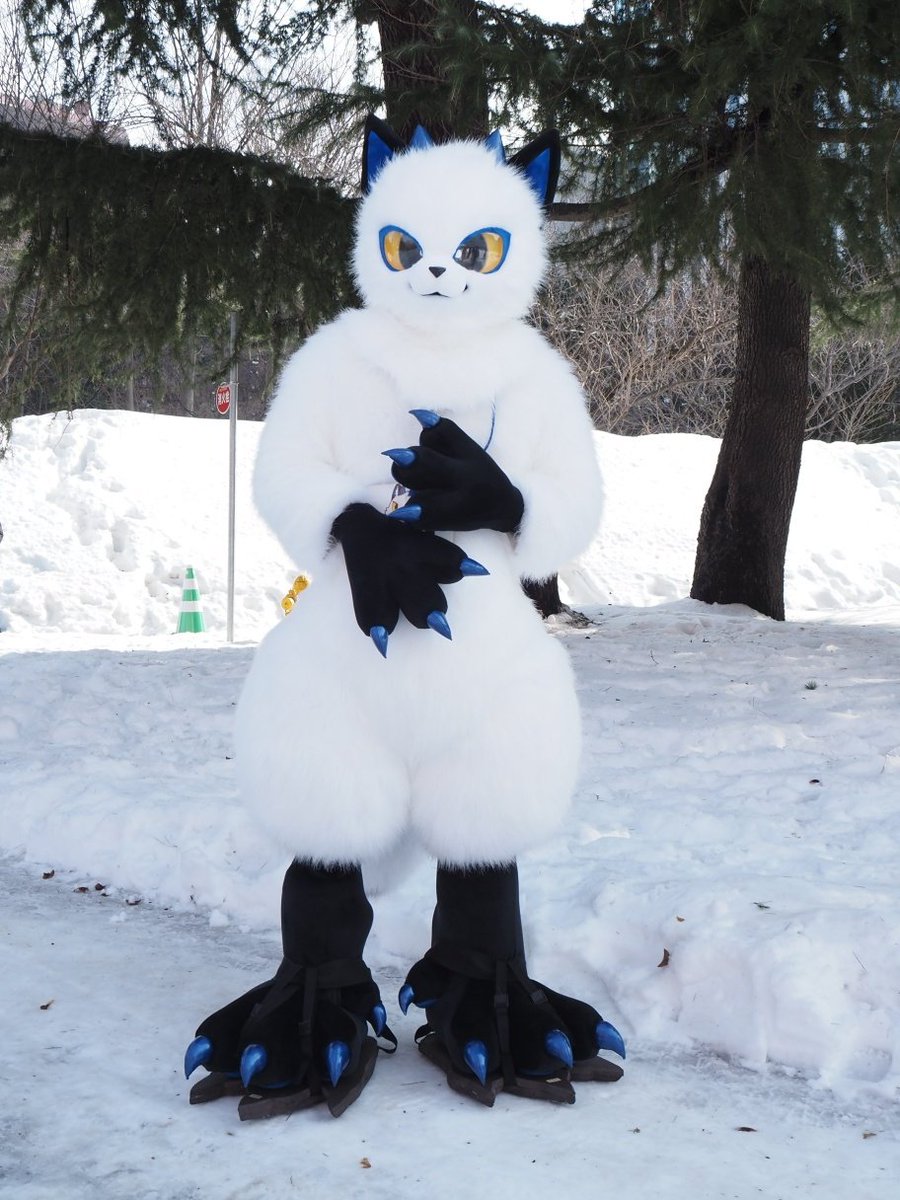 ステイル tweet media