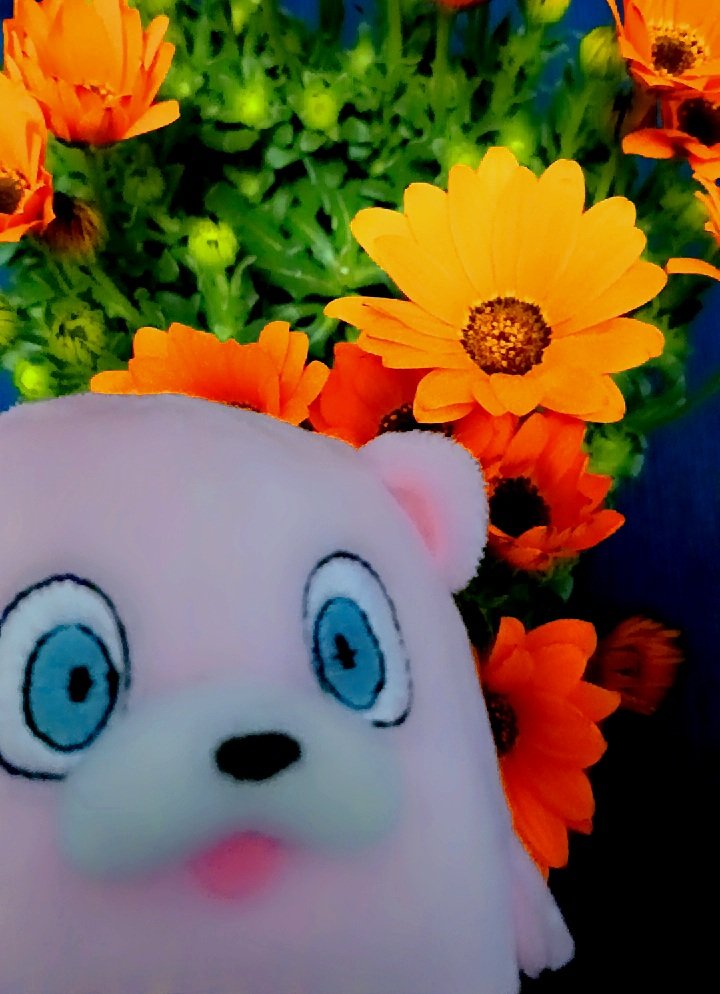 山本ルンルン (@lunlunyamamoto) / Posts / X