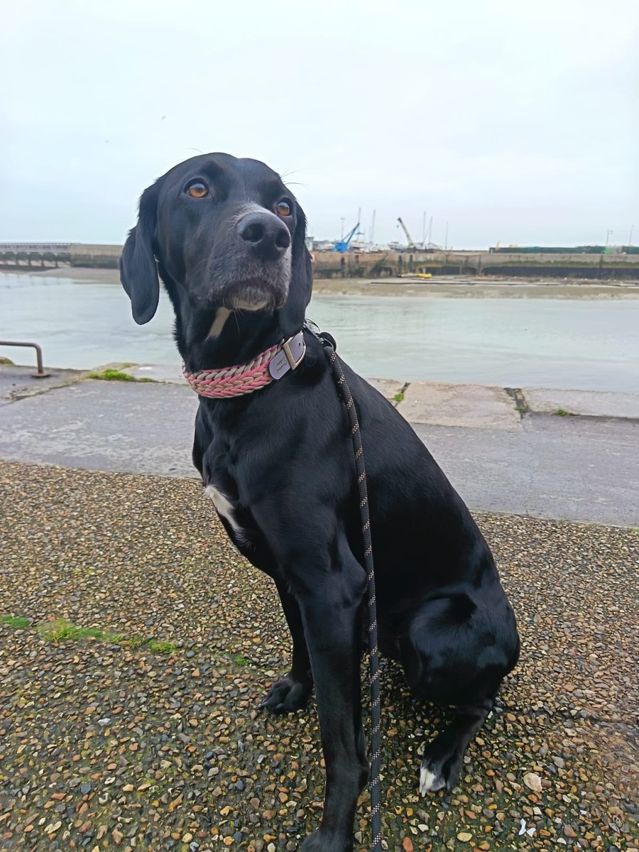 Julien Courbet tweet media