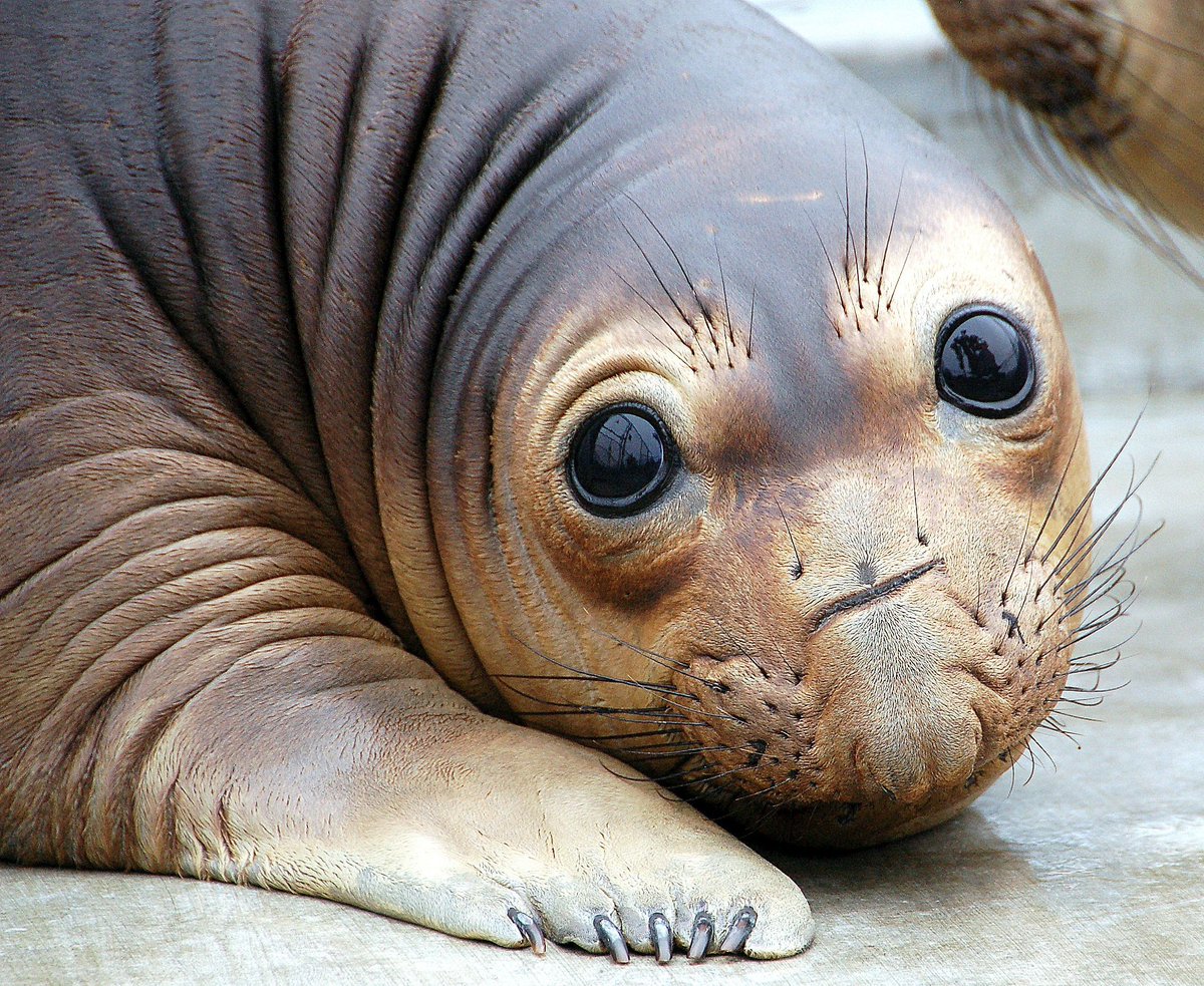 Center for Interactive Learning & Collaboration tweet media