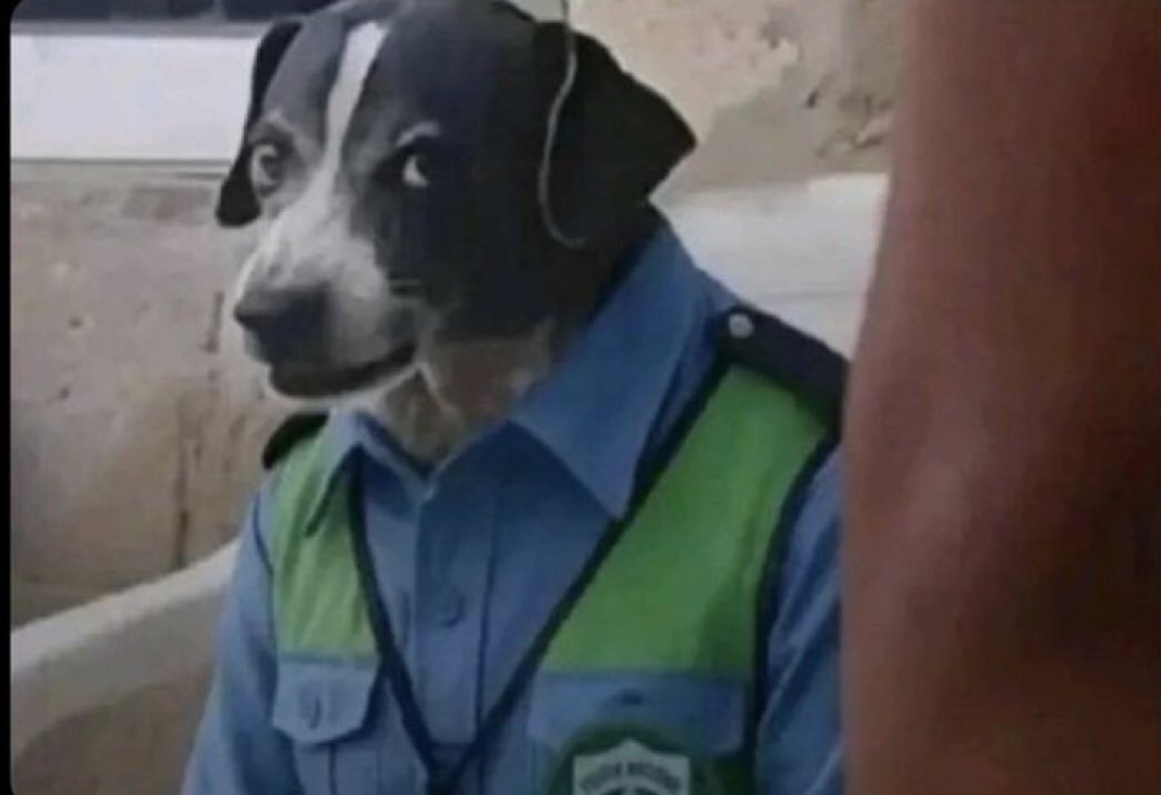 Prop firm after checking all your trades for a reason to deny your $31k payout. 

" So why did you trade XAUUSD? "