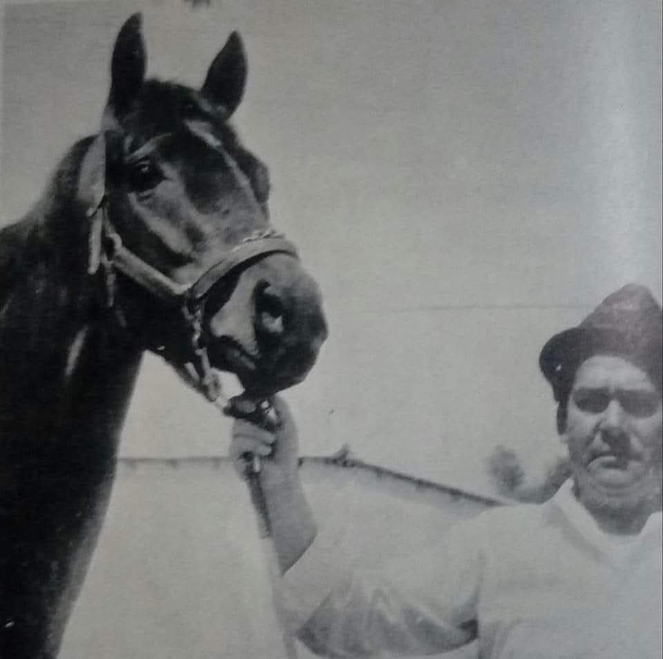 HORSERACING1002's tweet photo. GUADAMUR 🇲🇽1966
(TALGO II- MELUSINA BY MY BABU)
#Guadamur https://t.co/bUDQSKb8gR