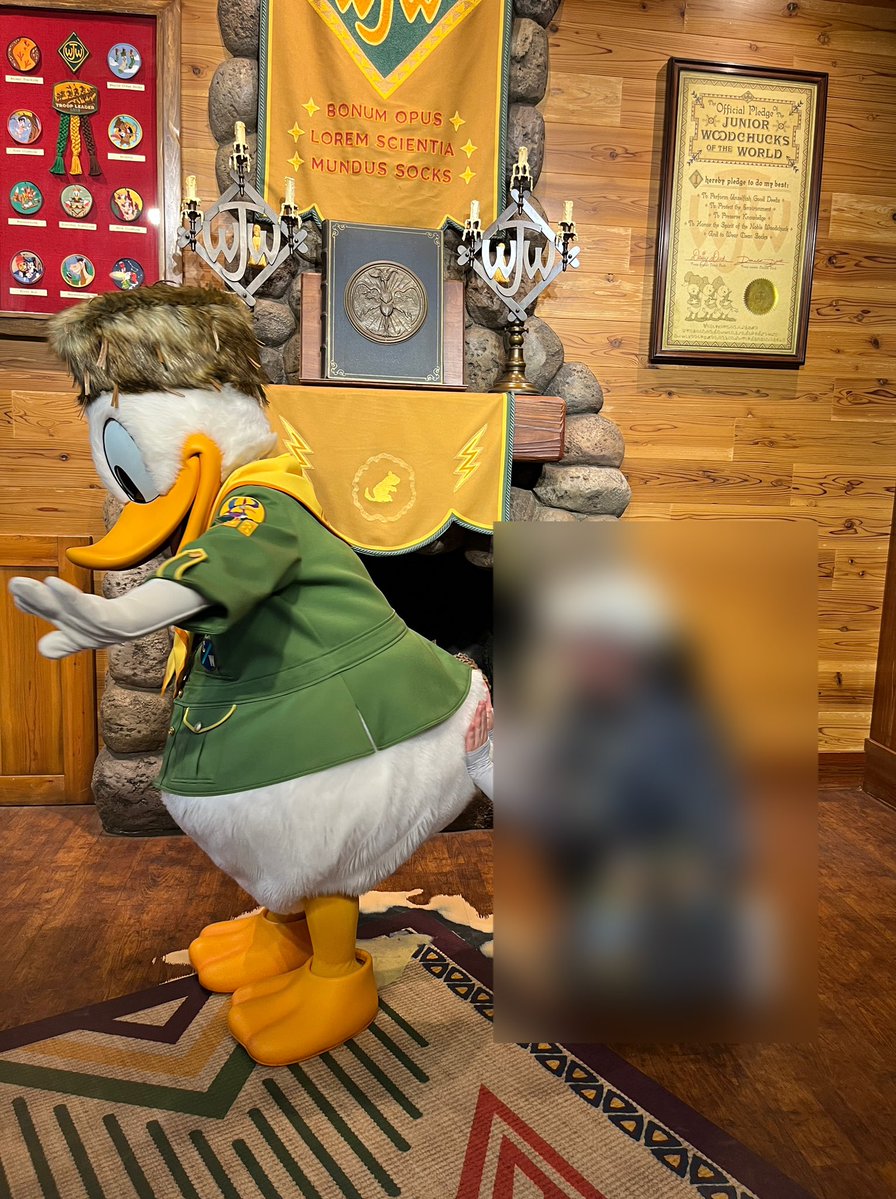 ドナルドダックという 可愛い可愛い推しをみて 癒されるために行って