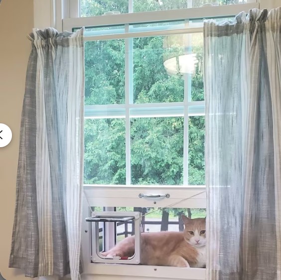 Catwindowpatios's tweet photo. In a world where you get what you pay for, our cat window patio will never rot, is sturdy and safe yet easy to put into and out of a window! Great for apartments, super for bored indoor cats who need outdoor time! Quick turn around now! (links in profile) #cats #caturday #pets https://t.co/Wc3uuFWSCQ