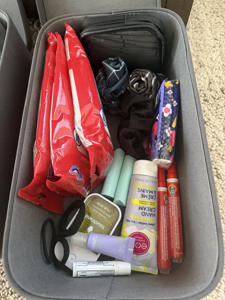 Crazy bag lady here 👋
I switch out my bags a lot and depending on what I am
Carrying I like to add or subtract things and while I have heard of the “purse bowl” I dislike visual clutter so I picked theses up from target  and I am loving it 🩷