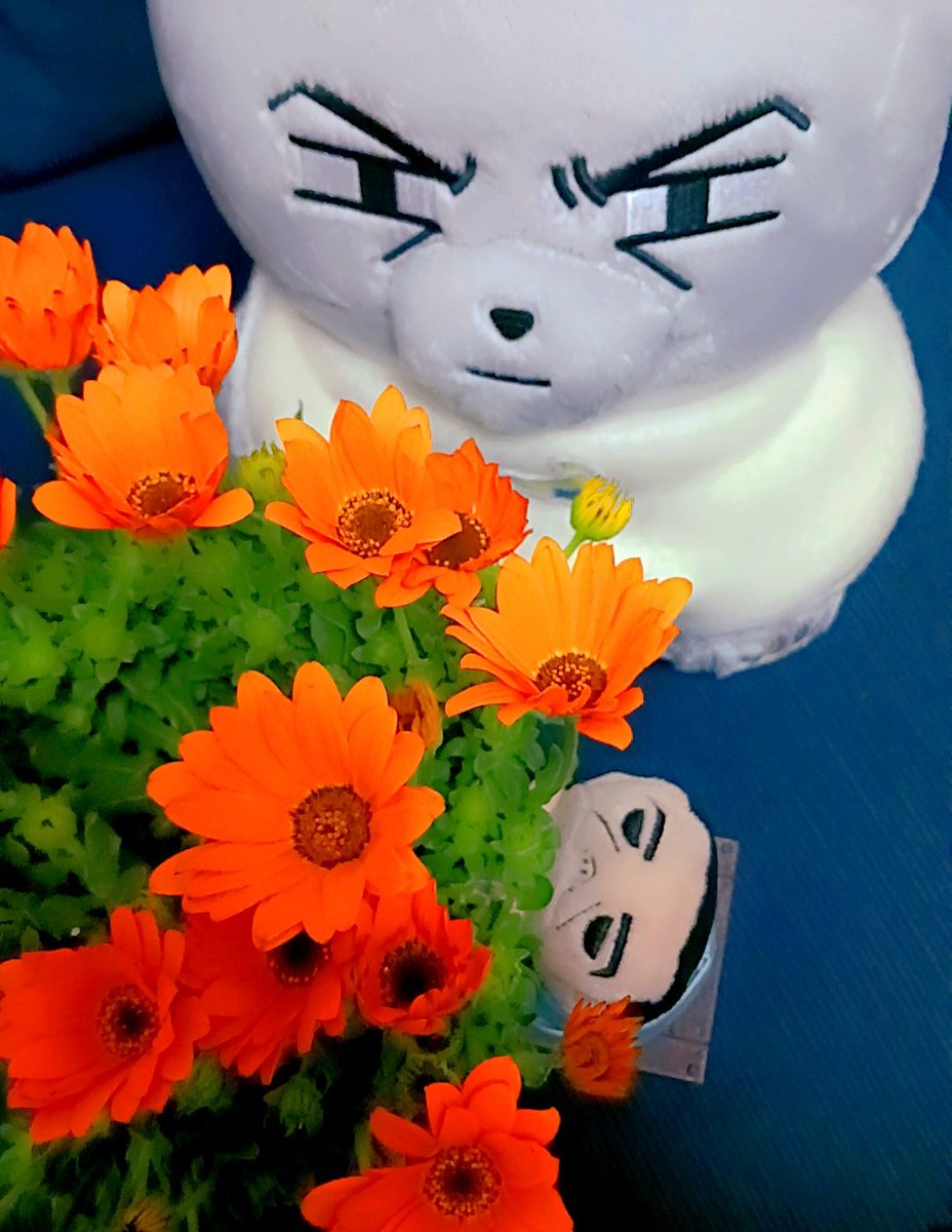 ﾊﾟﾋﾟﾁｬﾝ ﾓｳｽｸﾞ ﾊﾙｶﾞｸﾙﾖ✨✨
はる うれしいな
ｳﾚｼｲﾈ