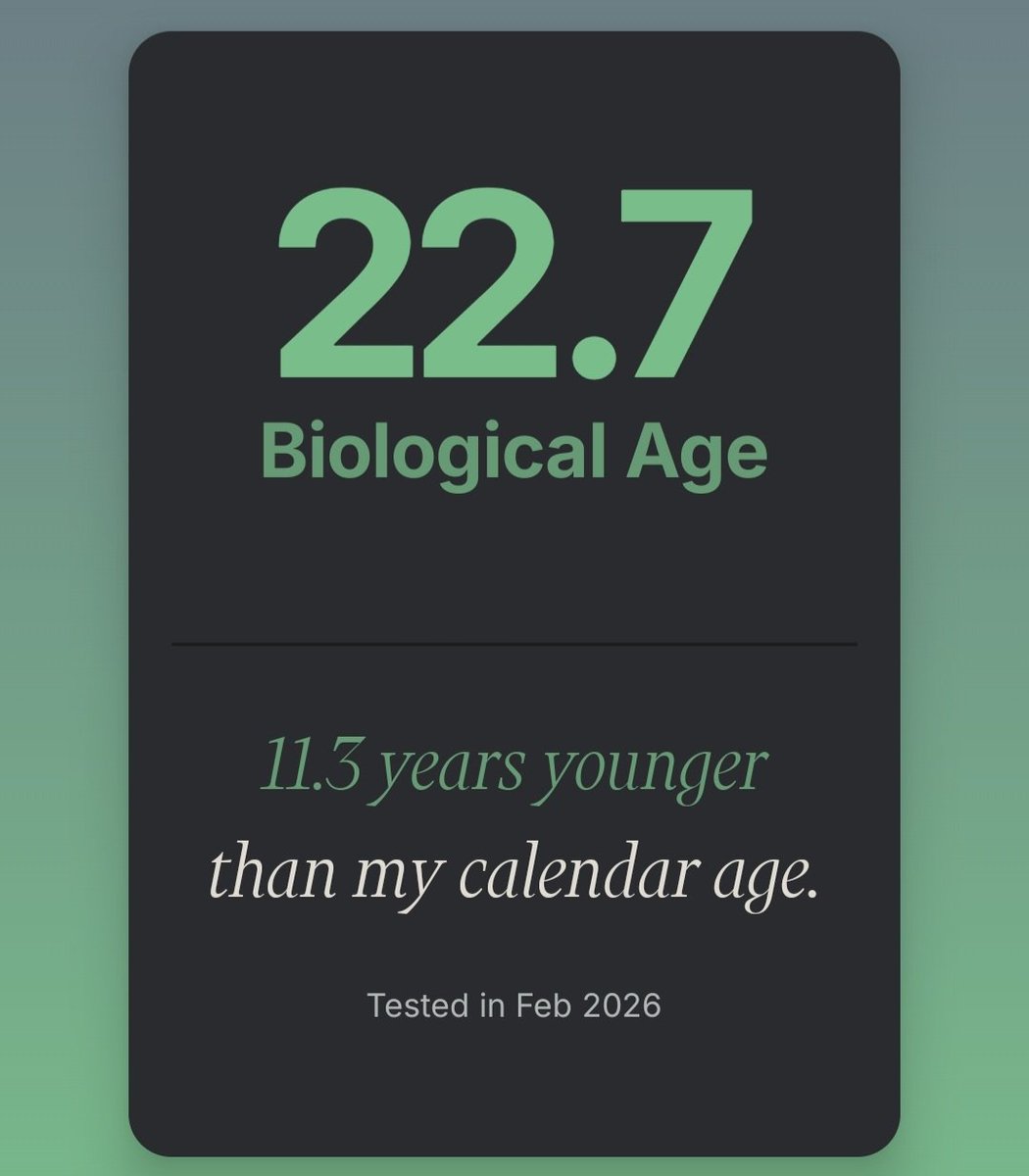 Greg Yang tweet media