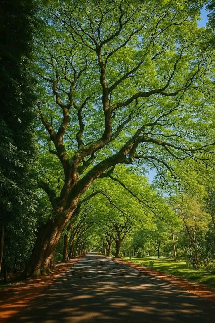 Purely Green tweet media