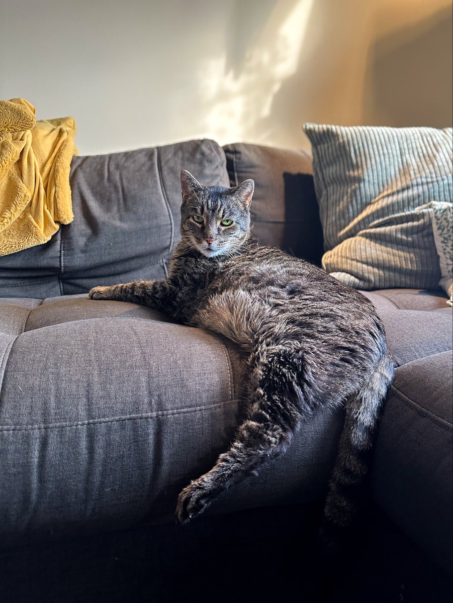 Ari Abella | Detroit tweet media