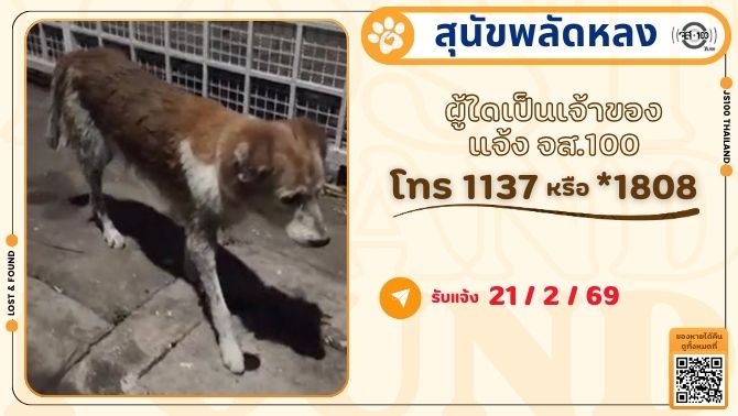 พบสุนัขพลัดหลง ล่าสุดเดินอยู่ในซ.ทองหล่อ 23 เขตวัฒนา ผู้ใดเป็นเจ้าของแจ้ง JS100 โทร *1808 หรือ 1137

รายละเอียดเพิ่มเติม : js100.com/en/site/lost_f…

#สุนัขพลัดหลง #ตามหาเจ้าของ #JS100