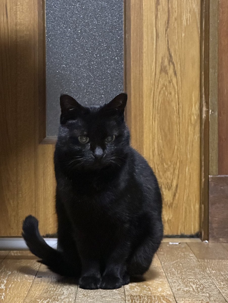 夜型なのでまた遊びにきた。もう少し近づいたけど考え直していって