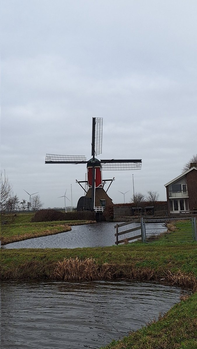 Jan-Joost Bouwman tweet media