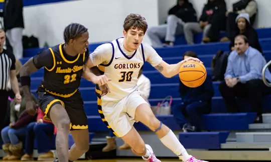 Webster Basketball tweet media