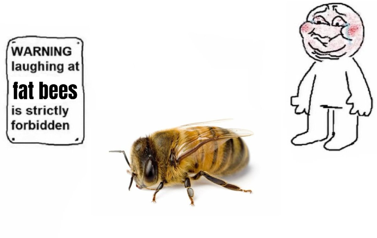 300,000,002 Yellow Jacket Wasps (@arithedumb) on Twitter photo 