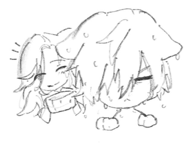 mischan__'s tweet image. ねこ丸2枚