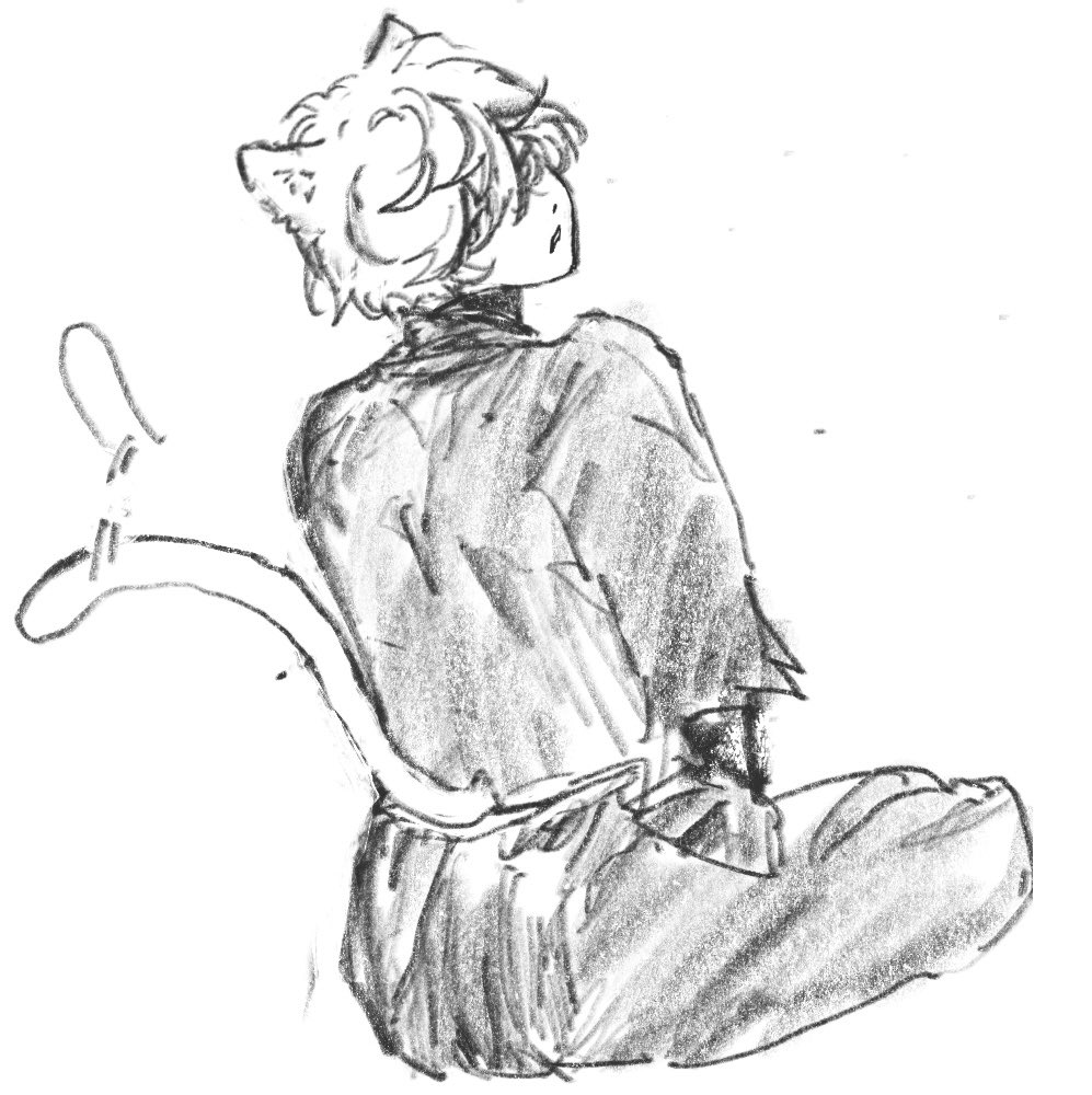 mischan__'s tweet image. ねこ丸2枚