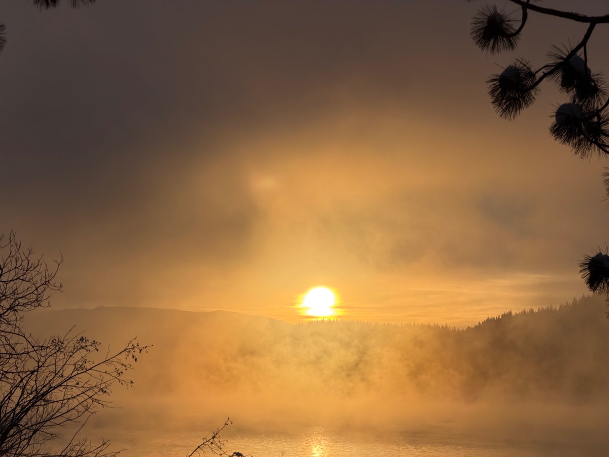 Erik Eccles tweet media