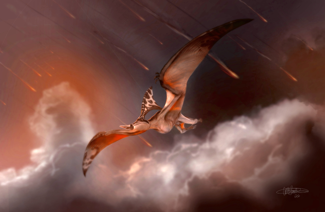 Glen Southern tweet media