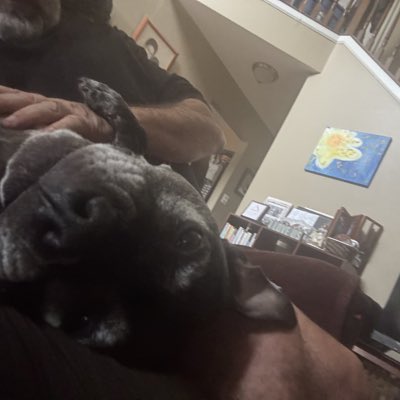 GOTTQueen's tweet photo. #NewProfilePic https://t.co/RuNlvUM8fY