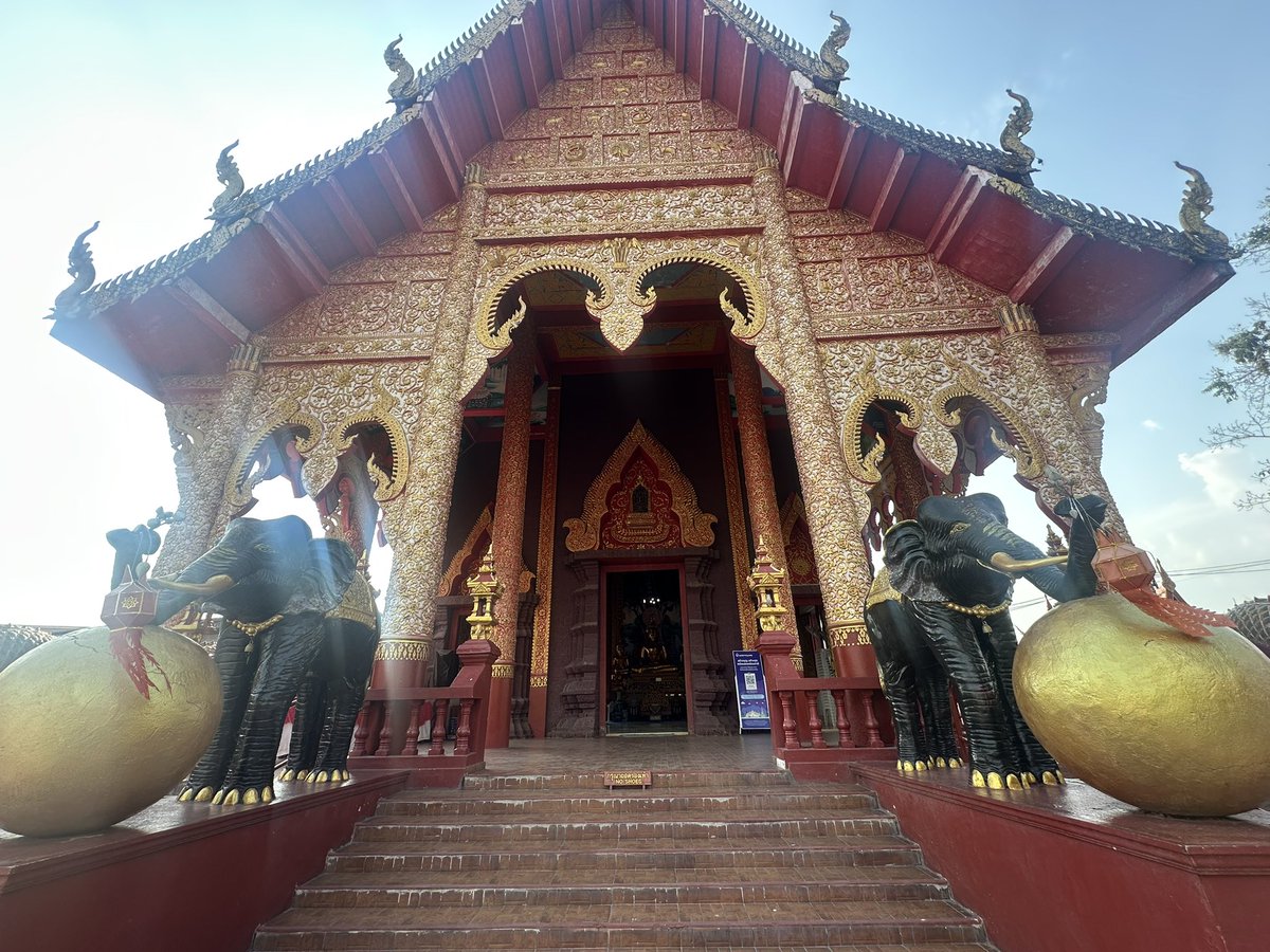 Dave's Travel Corner tweet media