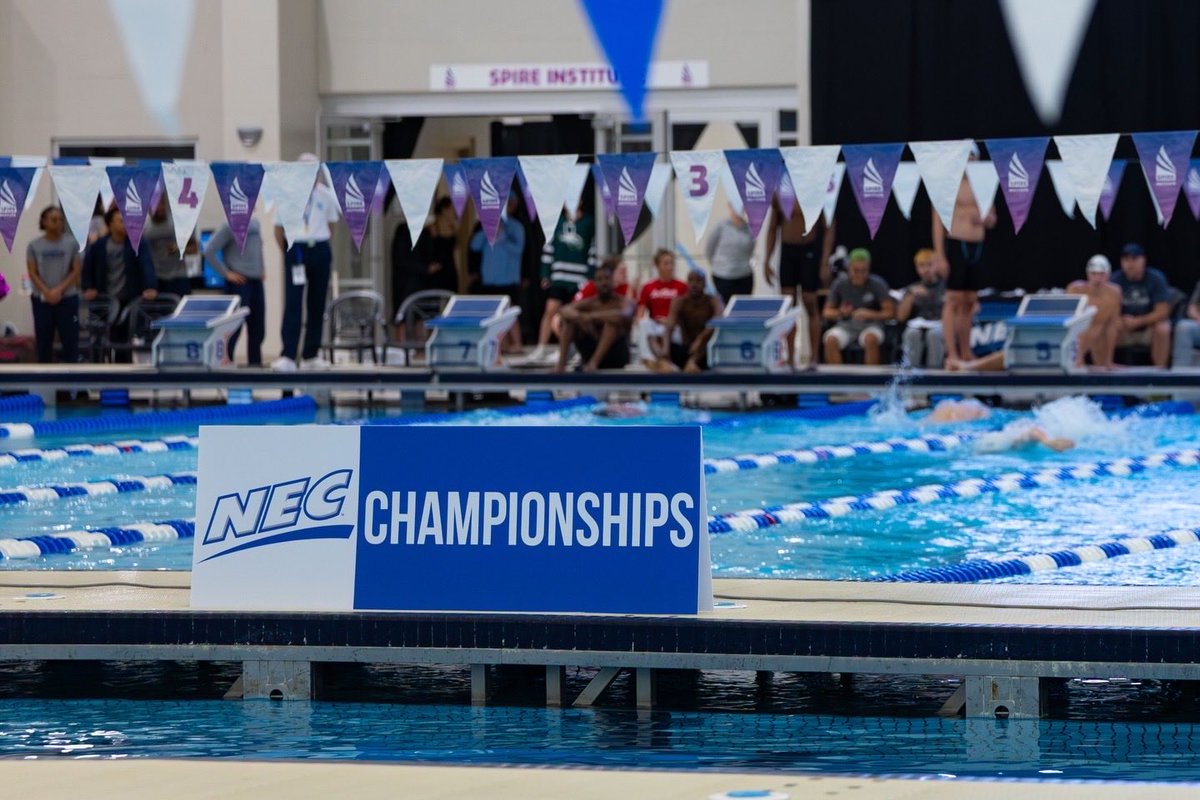 necswimdive's tweet photo. 📸 Scenes from the #NECSWIMDIVE championships 🏊‍♂️🏊‍♀️🏆

#NECchamps x #NECswimdive

(📸 credits: Brian Fisher - Full Stop Photography)

🧵 https://t.co/JwauJhWdTR