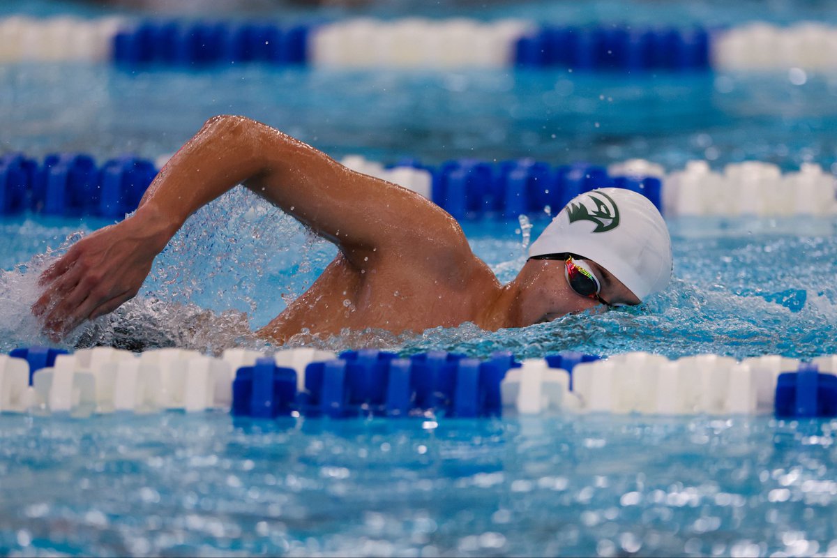 necswimdive's tweet photo. 📸 Scenes from the #NECSWIMDIVE championships 🏊‍♂️🏊‍♀️🏆

#NECchamps x #NECswimdive

(📸 credits: Brian Fisher - Full Stop Photography)

🧵 https://t.co/JwauJhWdTR