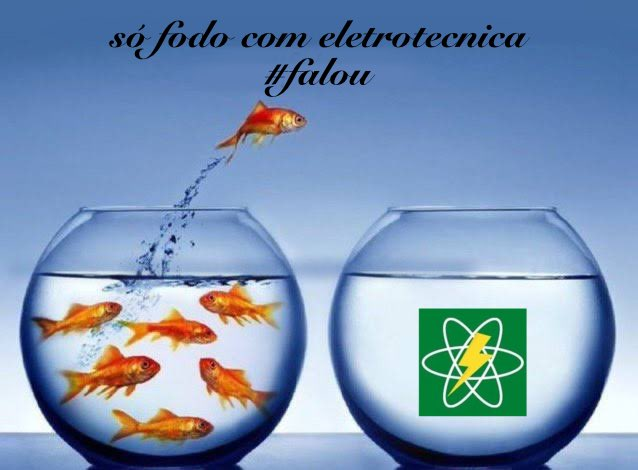 asas de prata. tweet media