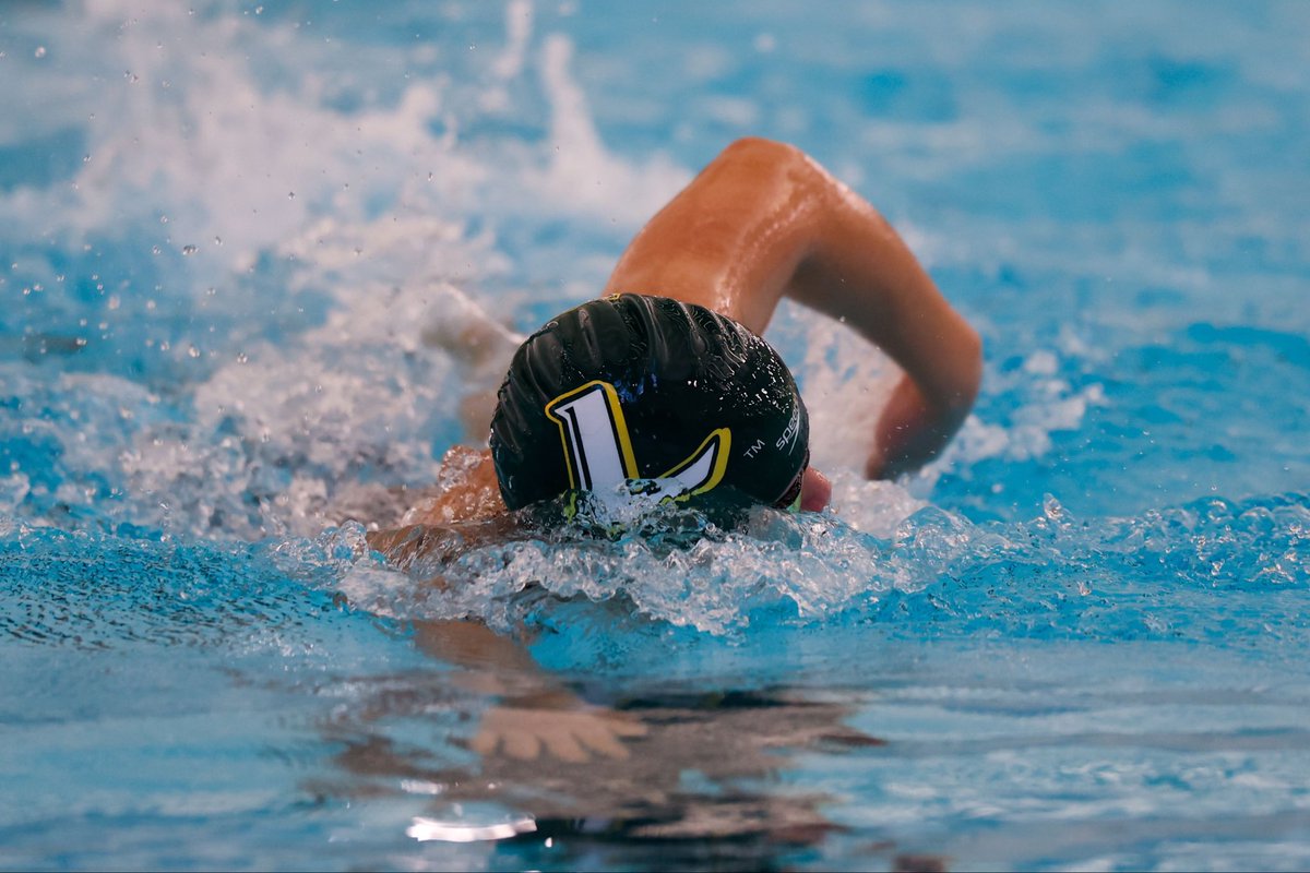 necswimdive's tweet photo. https://t.co/PHivUiIUbs