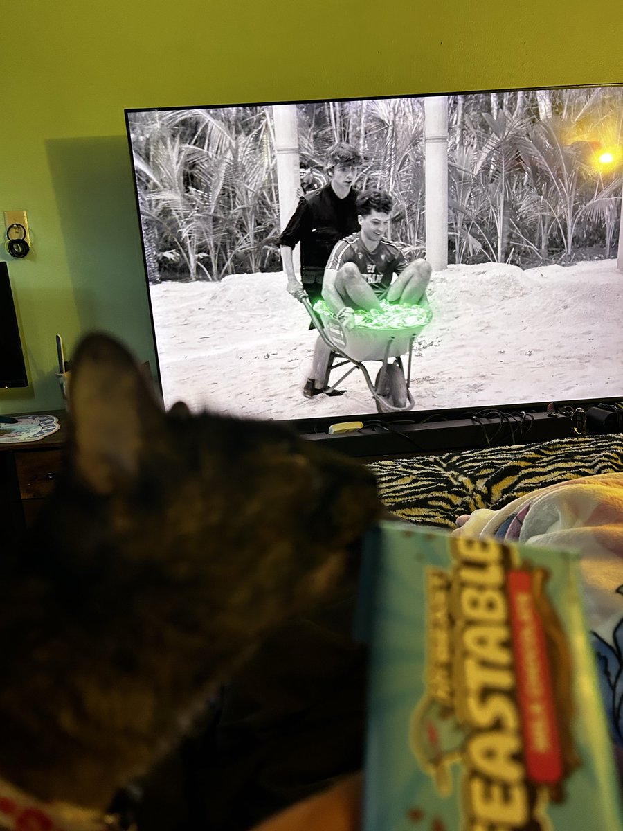 NickMax83518436's tweet photo. Me my wife. And our cat are ready to watch this episode of beast games!!!  Let the games…. #begin #mrbeast @MrBeast  #games https://t.co/G5OGfRBbcE