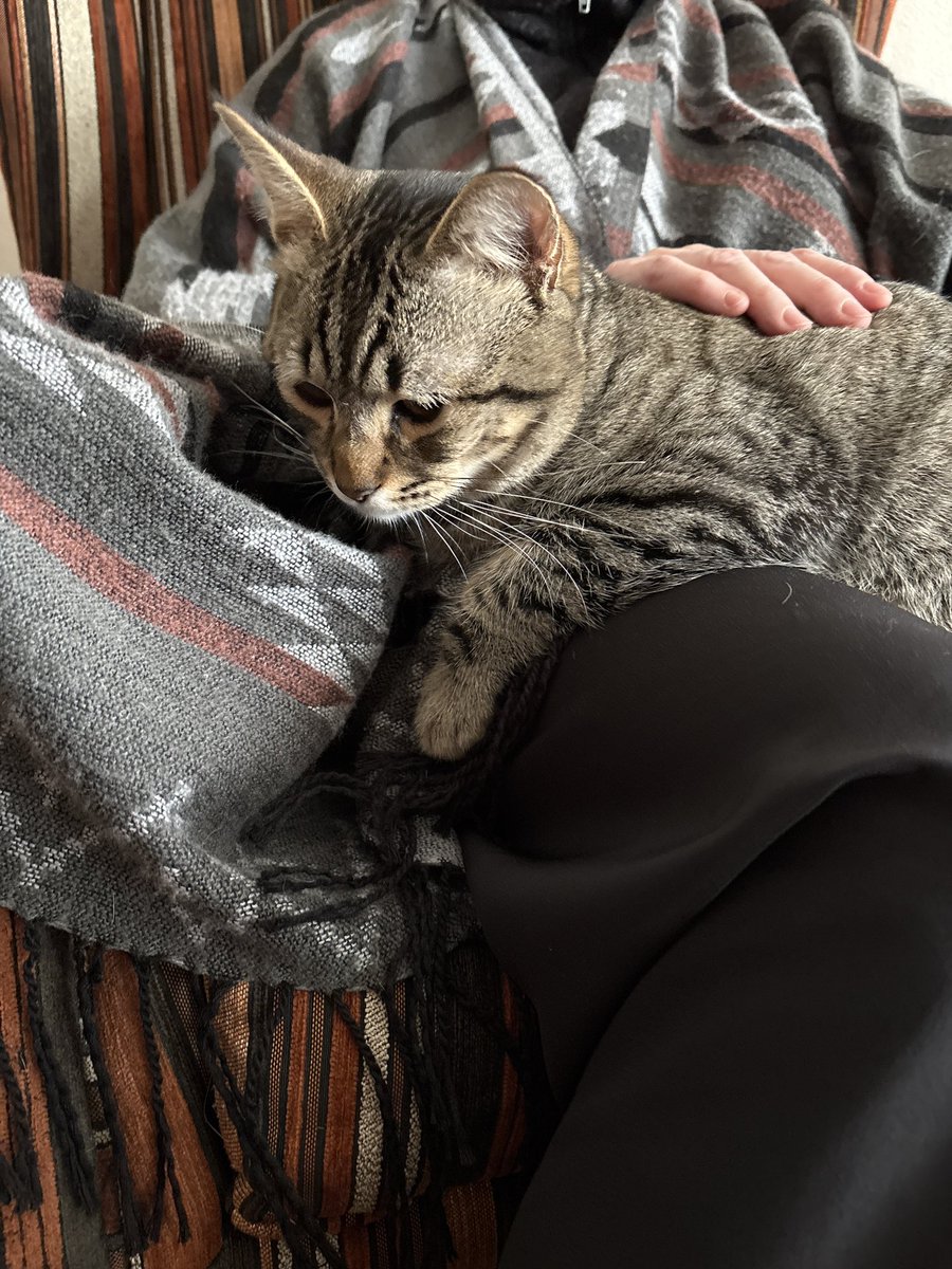 Fer 🍂 tweet media