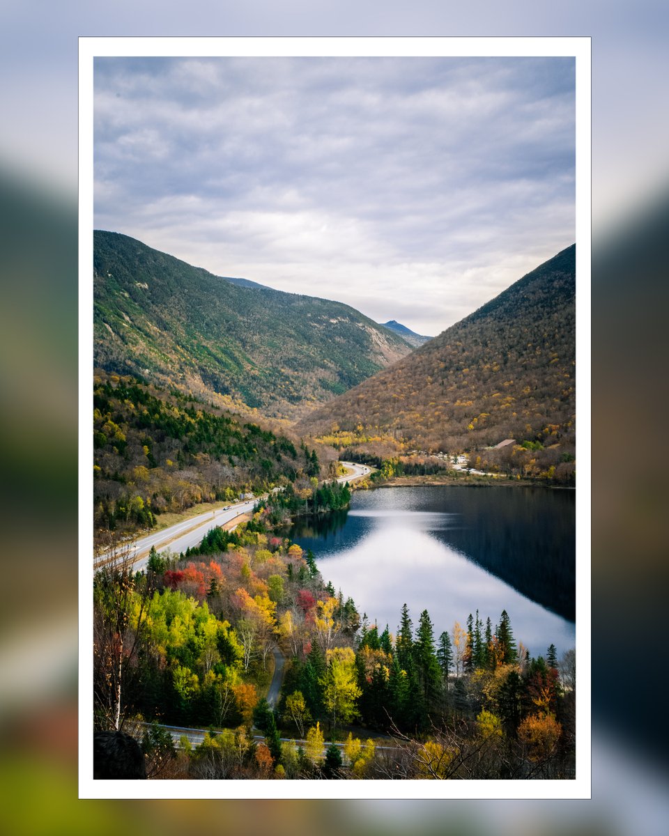 Love the Fall Color #photography #Fall