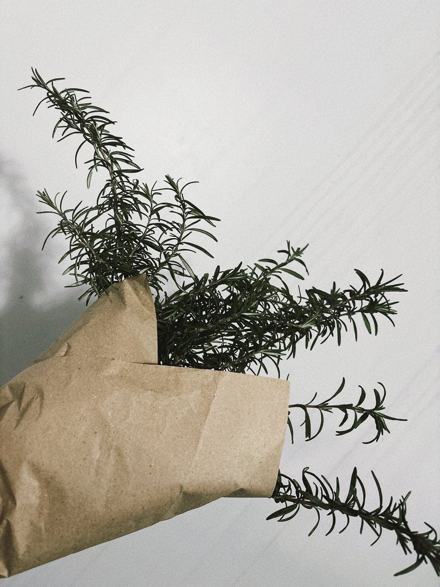 ローズマリーいただいた。
何に使ってやろうかしら。

(ローズマリーと言われれば思い出すシャドー…居ますね…👥)