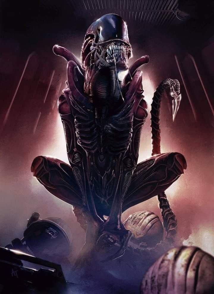 Alien vs Predator official (@avpofficial_sol) on Twitter photo 