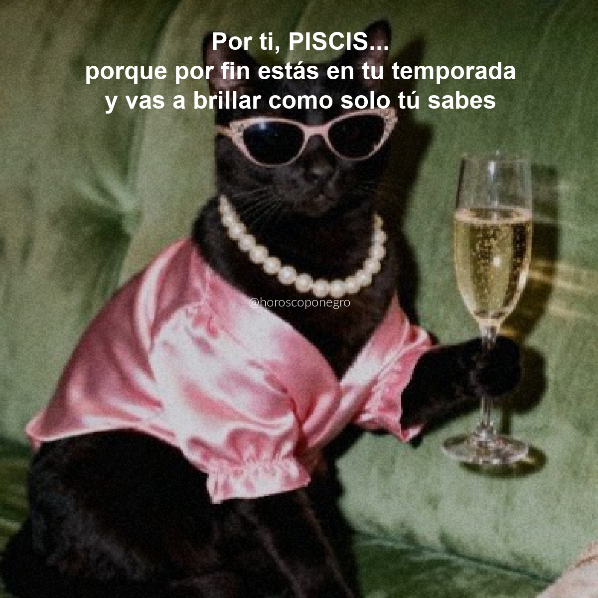 ▲PISCIS▲ (@piscis_hn) on Twitter photo 