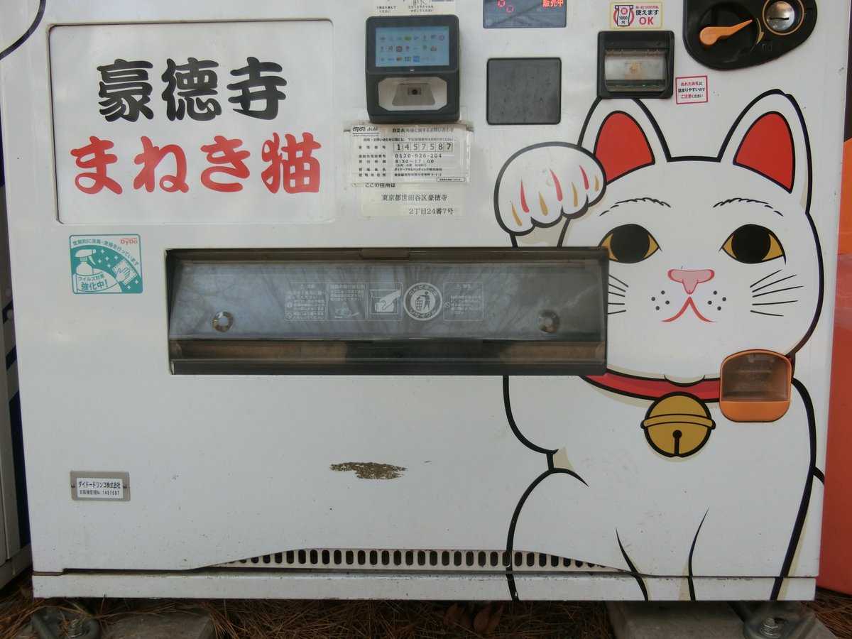 yoyokade's tweet photo. 2月22日は「猫の日」🐱
#猫の日
#豪徳寺 https://t.co/xhRZDVxhKl