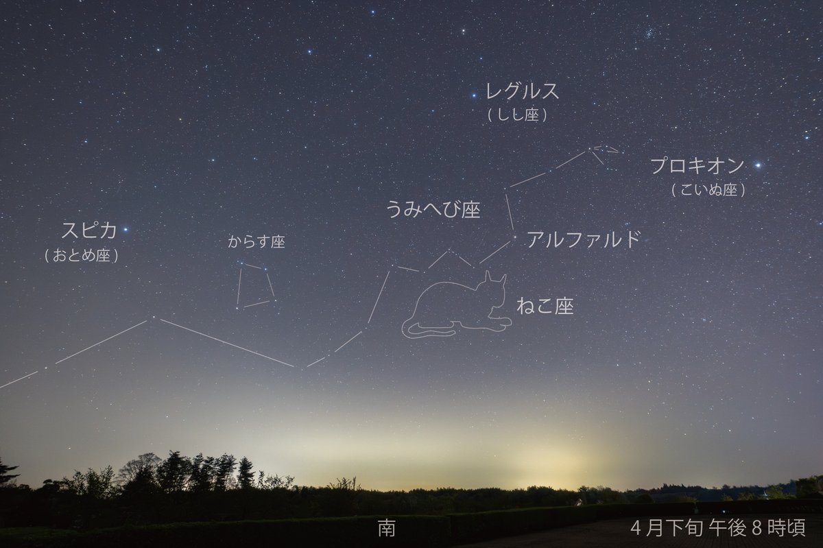 本日2月22日は「猫の日」です。
昔は夜空に「ねこ座」がありました。(現在は使われていません)
猫好きの18世紀フランスの天文学者ラランドが、自分の飼い猫をモデルに星座を作ったそうです。
現在星座は88個と決まっていますが、自分が好きなもののオリジナル星座を作ってみるのも楽しそうですね。