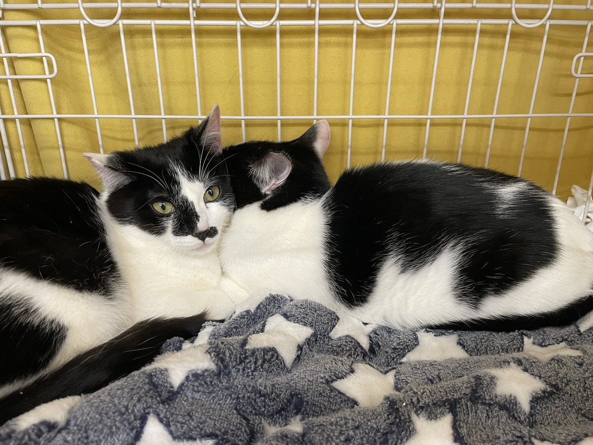 みにゃさん おつかれ